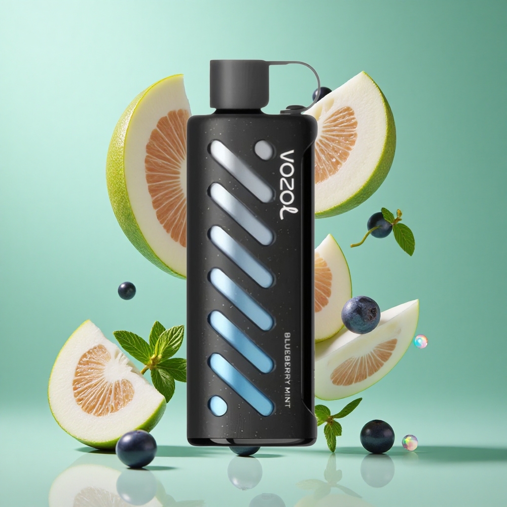 VOZOL Gear Shisha 25000 Puffs Blueberry Mint UK wholesale vapes with S.i.L.C Tech & 30 Flavors