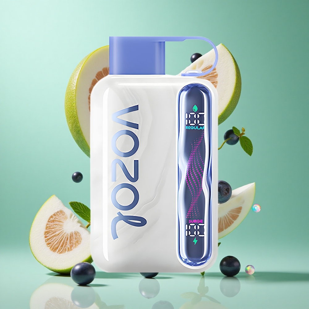 VOZOL STAR 40000 Puffs Blueberry Mint Disposable Vape UK Wholesale Vapes 1000mAh Type-C