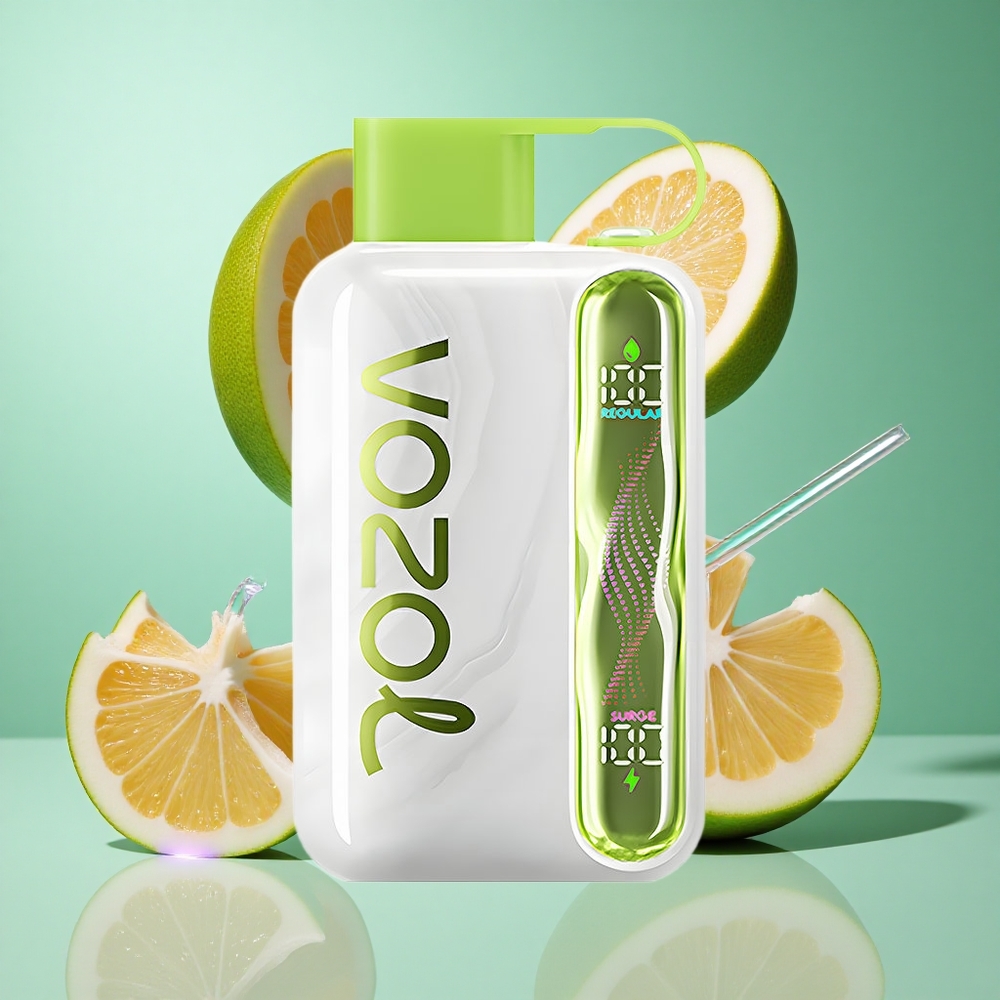 VOZOL STAR 40000 Puffs Disposable Vape Cool Mint UK Wholesale Vapes 1000mAh Type-C