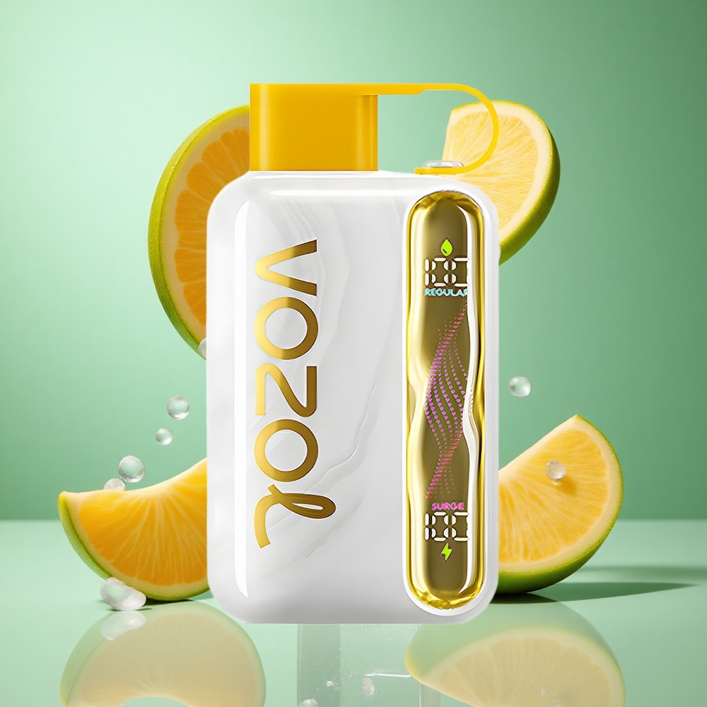 VOZOL STAR 40000 Puffs Mango Ice Disposable Vape UK Wholesale Vapes 1000mAh Type-C