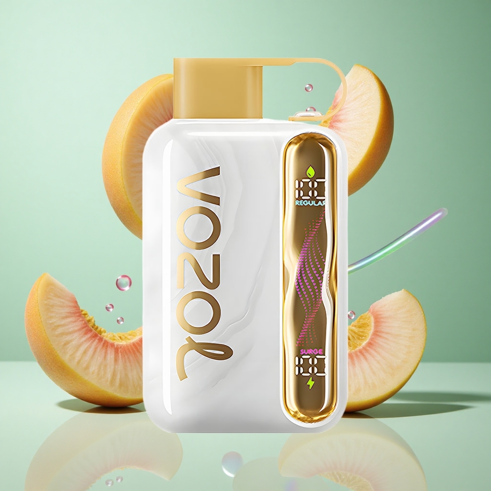 VOZOL STAR 40000 Puffs White Peach Raspberry Disposable Vape UK Wholesale Vapes Type-C Charging