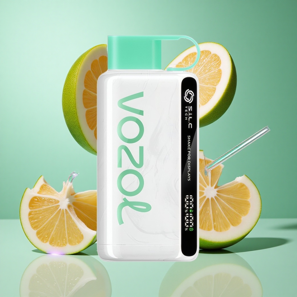 VOZOL STAR 9000/12000 Cool Mint UK wholesale vapes with 30% faster charge