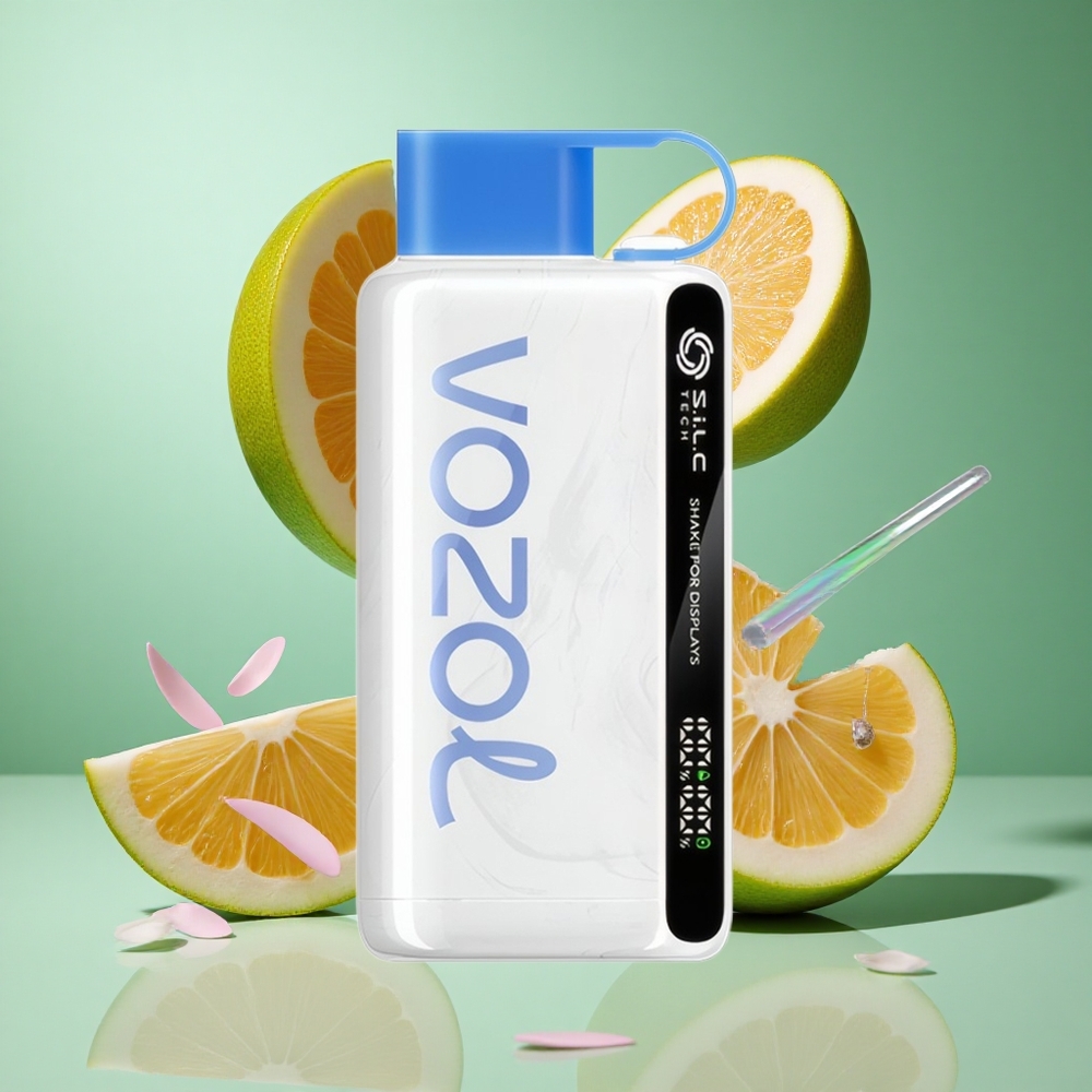 VOZOL STAR 9000/12000 Disposable Vape UP TO 9000/12000 Puffs UK wholesale vapes S.i.L.C TECH