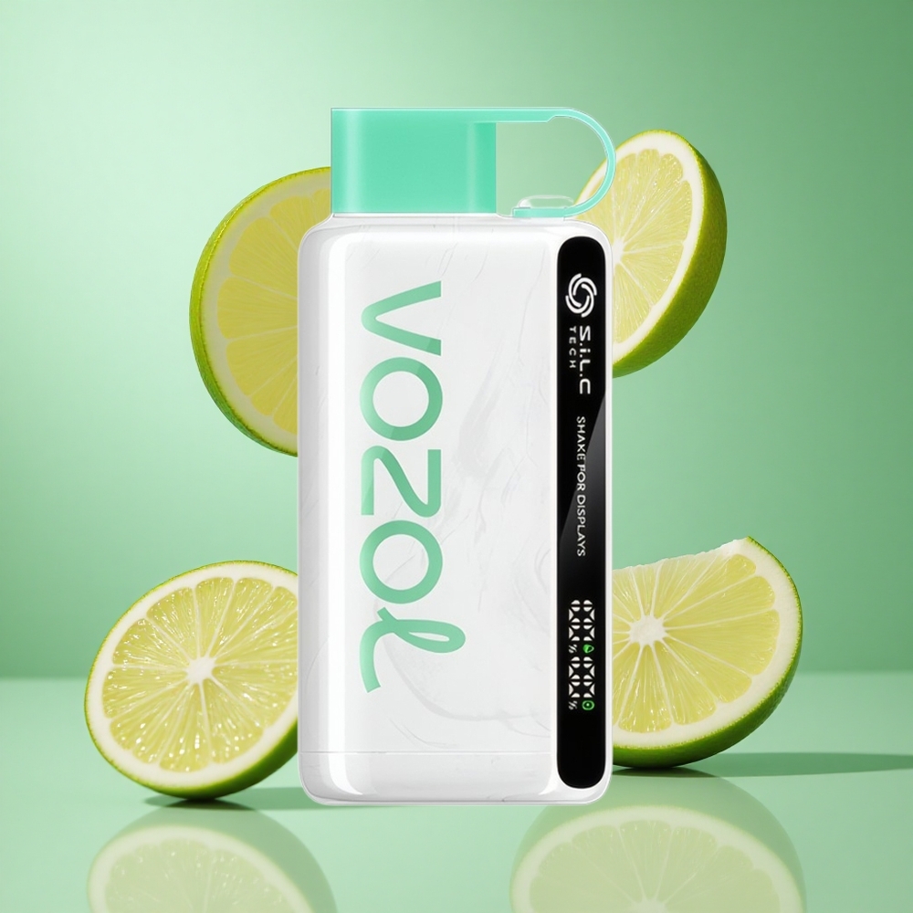 VOZOL STAR 9000/12000 Lemon Mint UK wholesale vapes with 30% faster charge